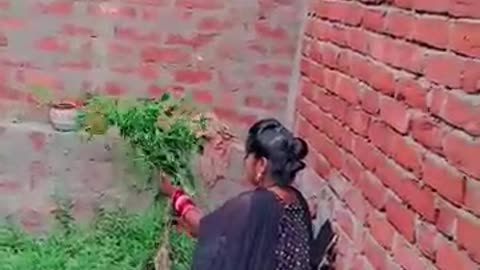 Bacche ka Roy