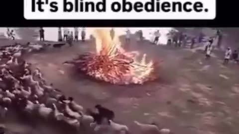 Blind obedience