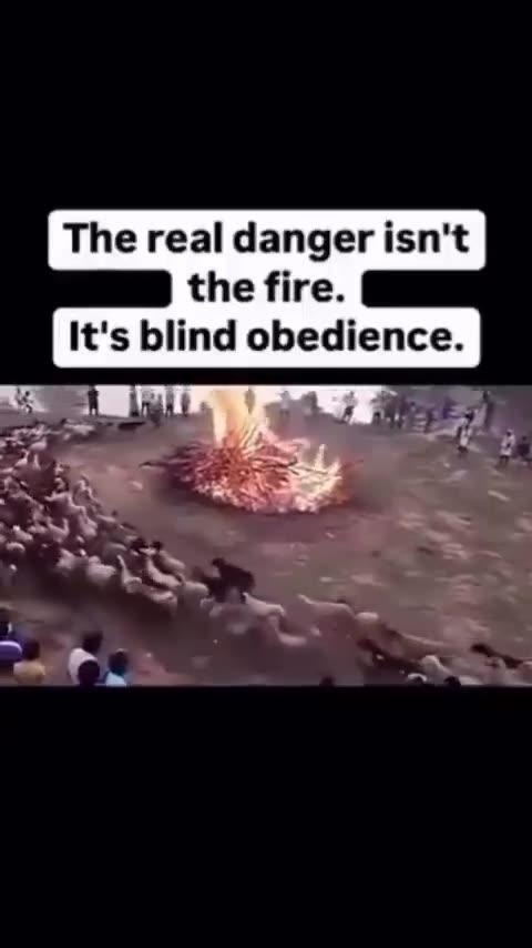 Blind obedience