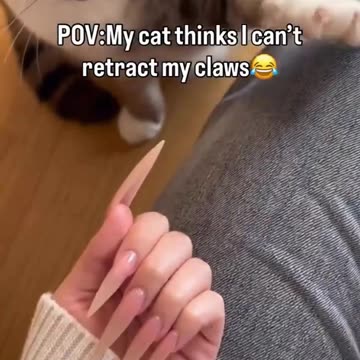 Finally met your match eh kitty 🤣