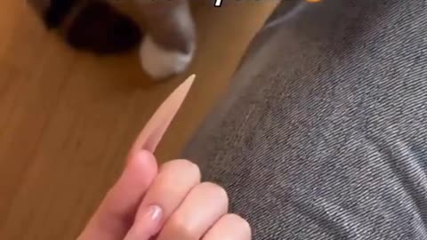 Finally met your match eh kitty 🤣