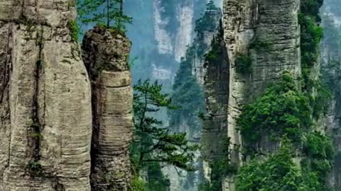 Giants of the Earth Reaching for the Sky! 🏞️⬆️