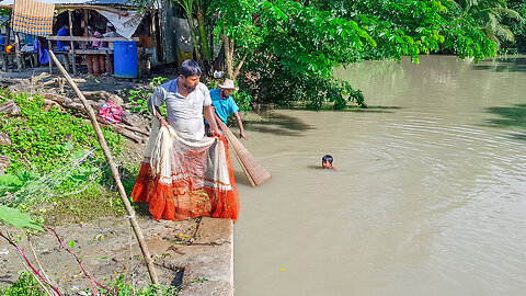 দেখুন জোয়ারের পানিতে অনেক মাছ