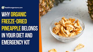 Why Organic Freeze-Dried Pineapple belongs in your diet and emergency kit