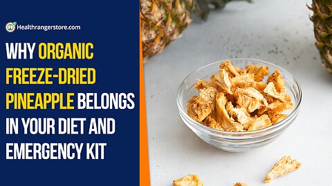 Why Organic Freeze-Dried Pineapple belongs in your diet and emergency kit