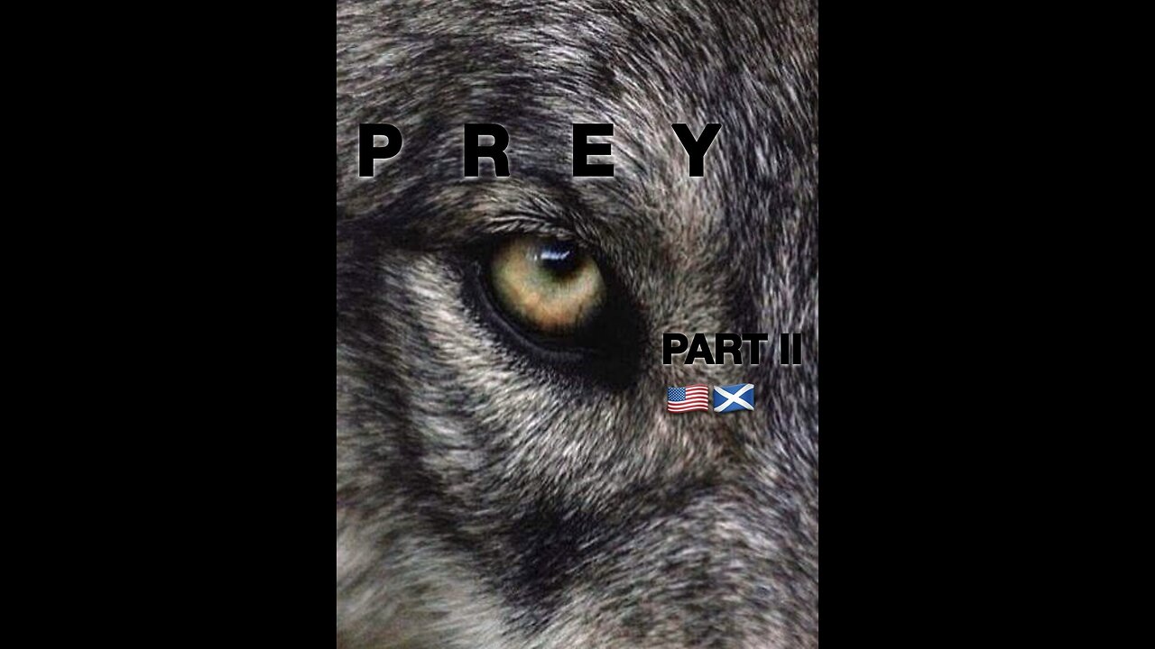 PREY part II