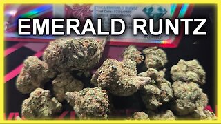 Emerald Runtz from JK Distro