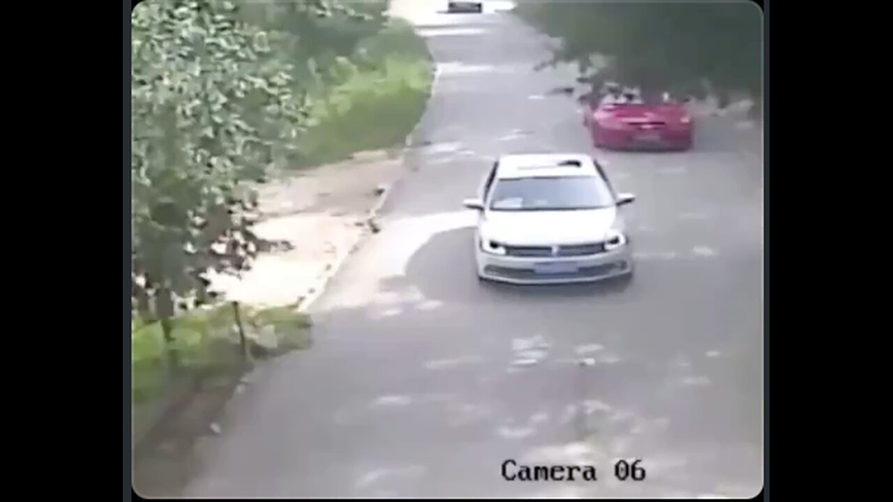 Woman gets out of the car to argue with her husband while inside a Tiger Safari🦁💥😳