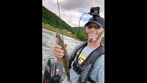 🚨SPECIAL🚨 " BIG Catfish & Toothy Critters' w/ Dave T. "
