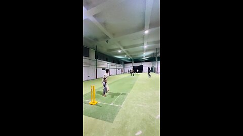 cricket video
