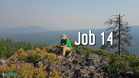 Job 14
