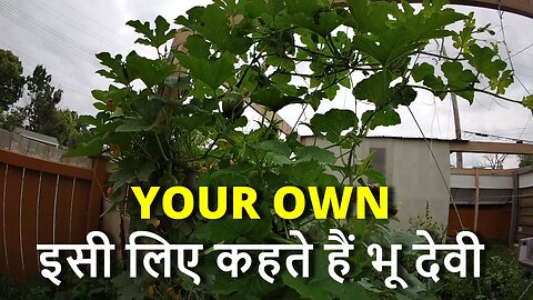 Its YOUR OWN For Free इसी लिए कहते हैं भू देवी #canada #rawat #samraatbharat #winnipeg #bharat