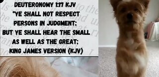 Here the Small as Well as the Great Kona Makes a PETition Spiritual Lesson for Today