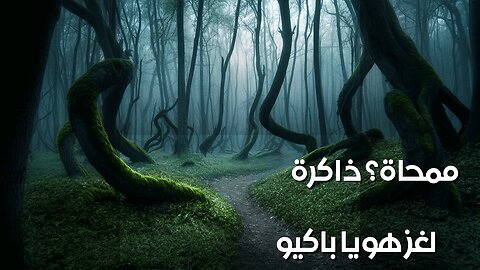 غابة هويا باكيو: هل تمحو الذاكرة حقاً؟