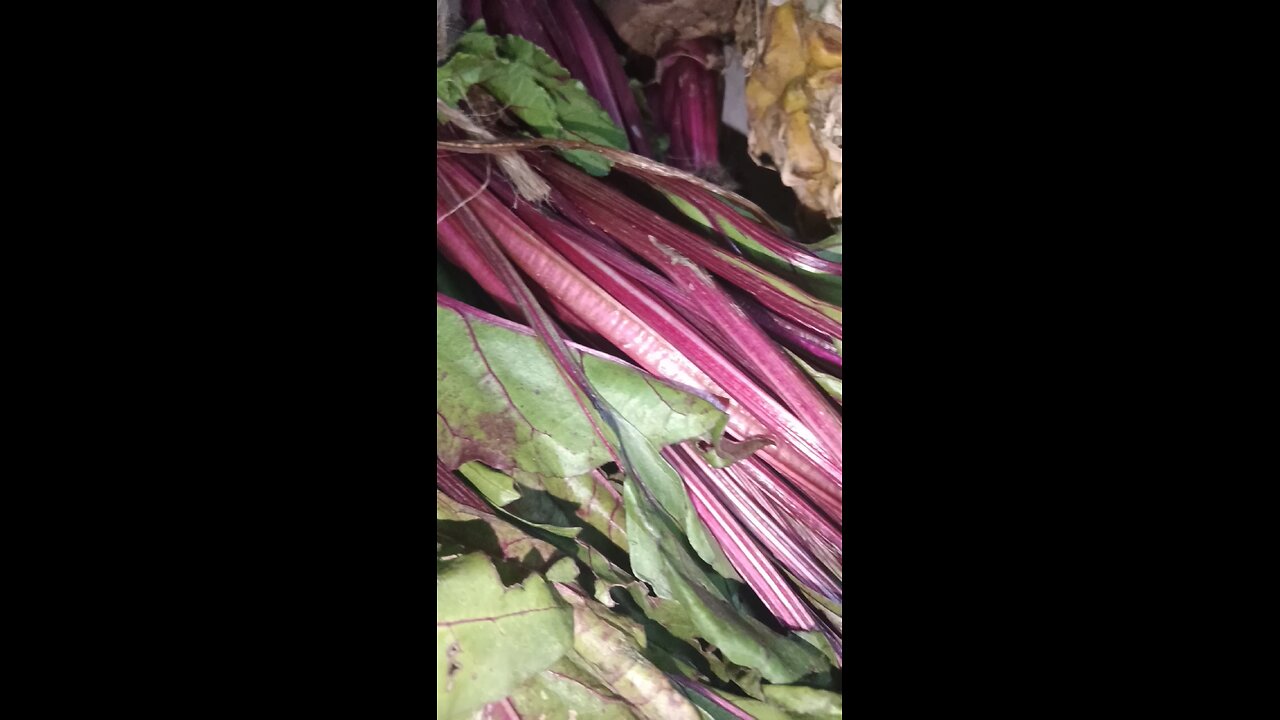 fruit basket 🧺🧺#short#viral#tasty#trending#