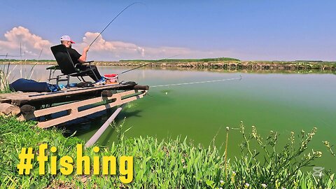 🏕️ Relaxing Day Lake Fishing for Silver Carassio! 🌿