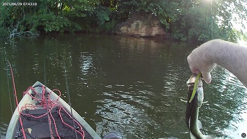 Sunday, not very big but fun to catch