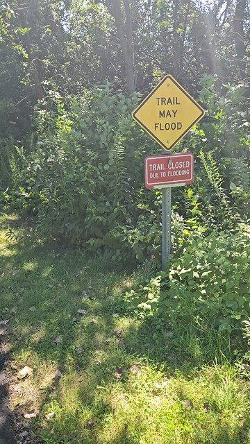 I Ignore the Flood Warning