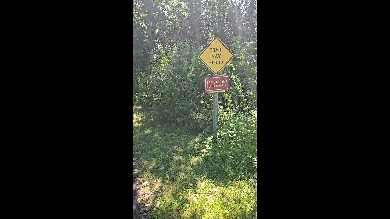 I Ignore the Flood Warning