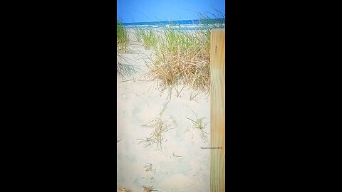 Ocean Beach