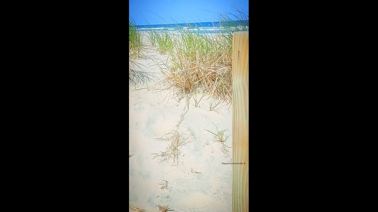 Ocean Beach