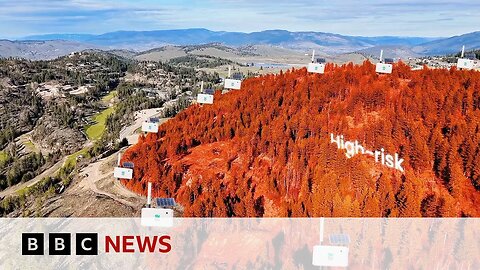 Can new technology help detect wildfires? | BBC News