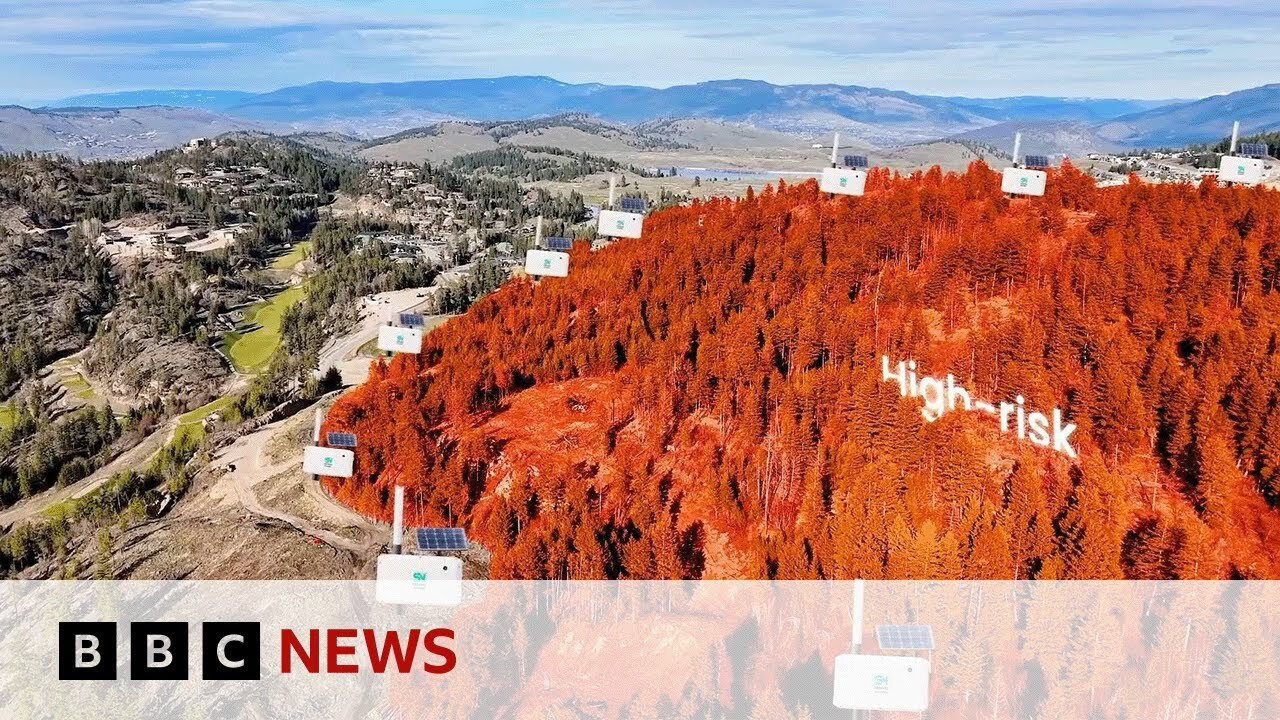 Can new technology help detect wildfires? | BBC News