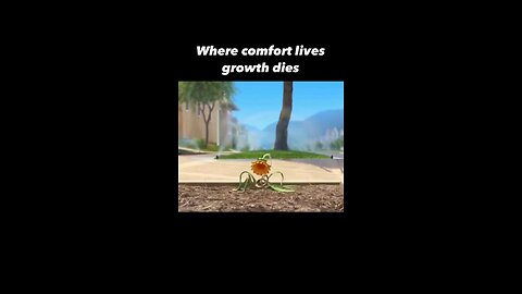 when Comfort lives growth dies Motivational video