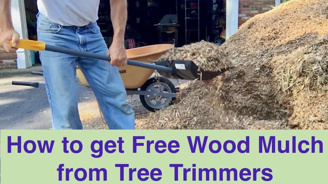 Free Mulch Free Wood Chips