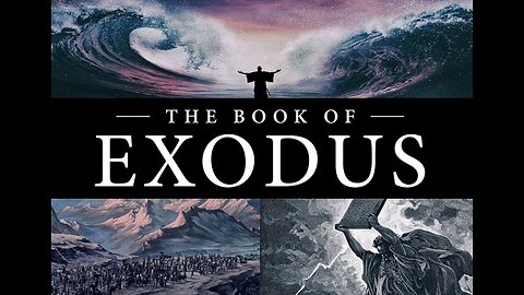 S2 EP142 - Tangled up in Exodus