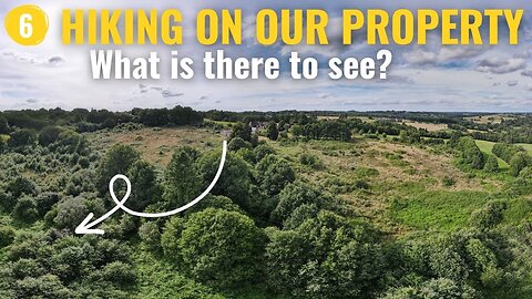 6 - What Amazing Things Will We Discover On Our Land? Exciting Hike 🥾 & Preparing Firewood.