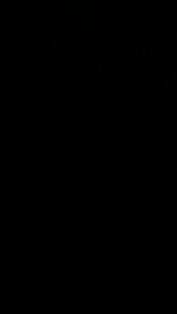 Mitchell International Airport