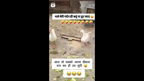डांस