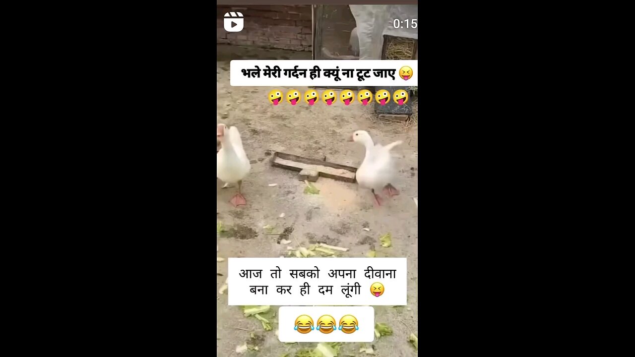 डांस