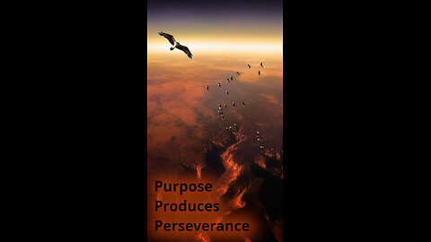 Wyatt 🙏 460 ~ Purpose Produces Perseverance