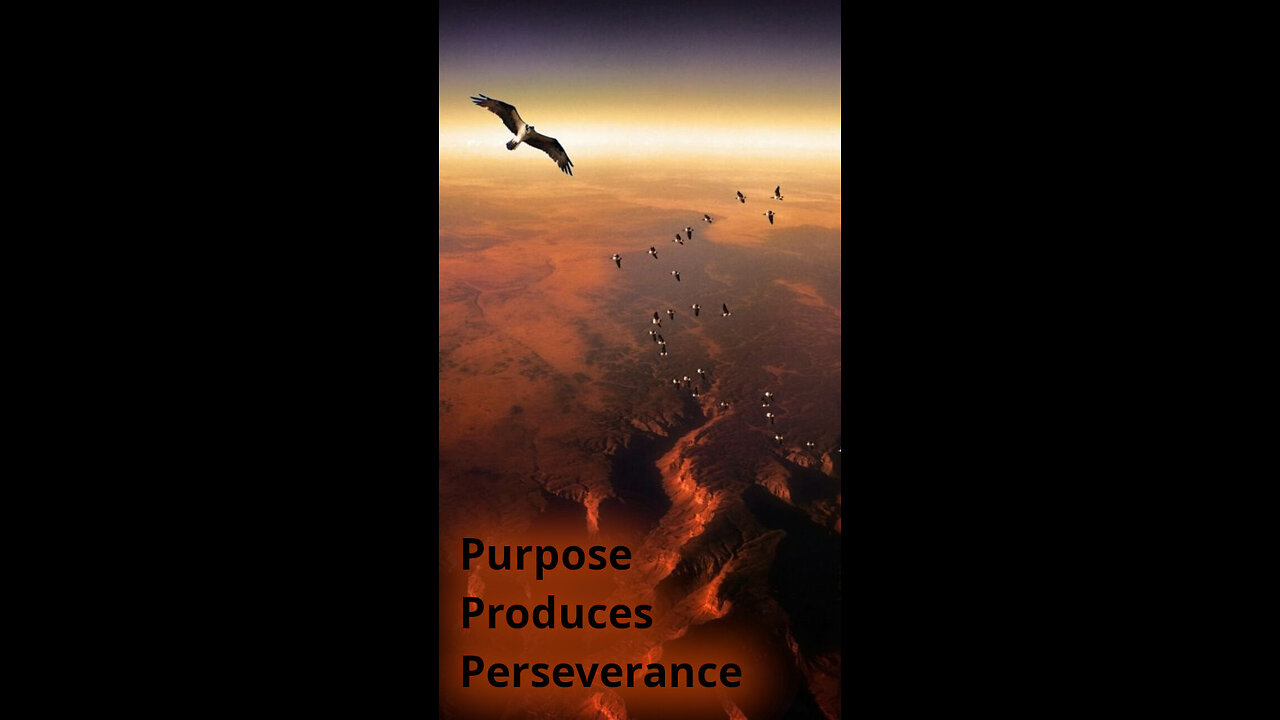 Wyatt 🙏 460 ~ Purpose Produces Perseverance