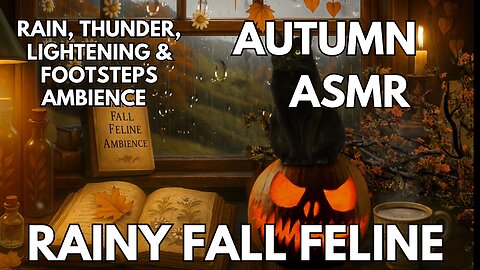 ☔️ Rainy Fall Feline Ambience | Rain On A Window, Tea Stirring, Page Turning | 4K ASMR Ambience