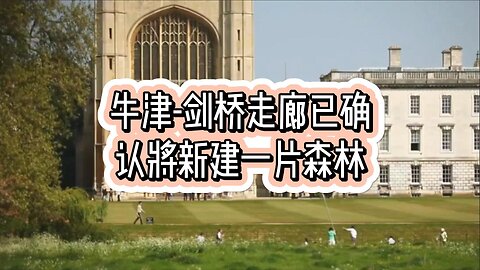 牛津-剑桥走廊已确认将新建一片森林