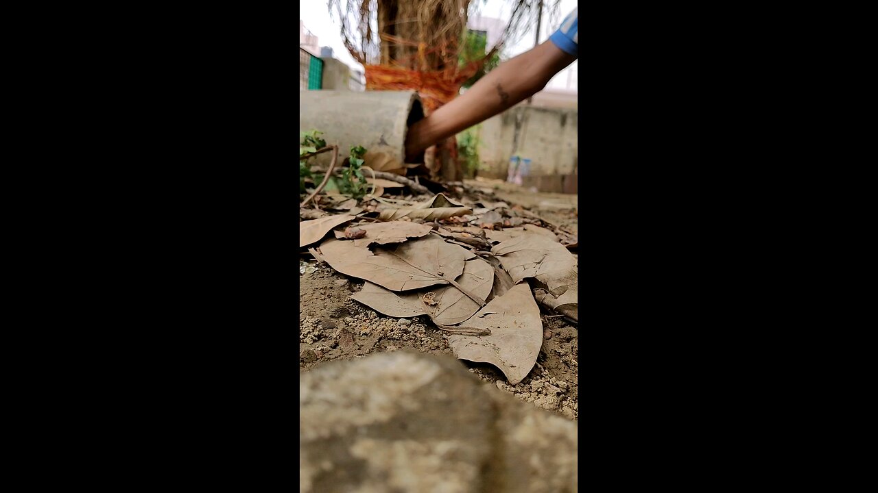 childrens bomb preparation at Diwali. 🤠