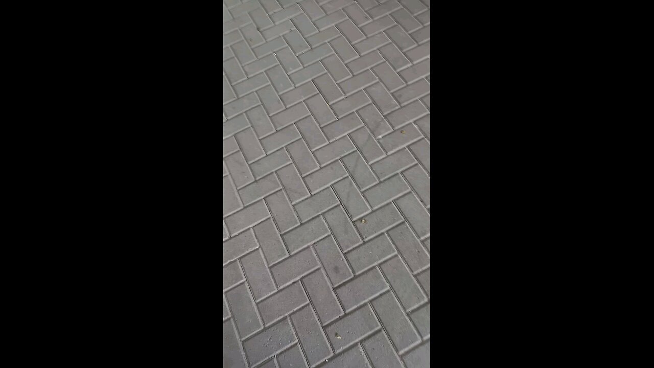 identify notice