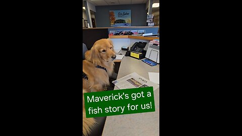 Now that is a fish story!