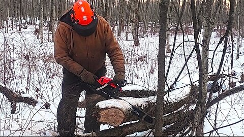 eBay Purchase 100 Dollar Chainsaw, Does It Cut Wood?