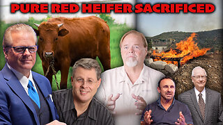 BREAKING EXCLUSIVE: Texas Man Who Found the Pure Red Heifer Sacrificed in Israel Joins to Discuss the Significance & Why it Could Cause Regional Conflict