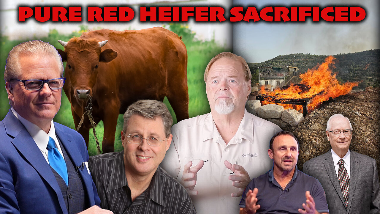 BREAKING EXCLUSIVE: Texas Man Who Found the Pure Red Heifer Sacrificed in Israel Joins to Discuss the Significance & Why it Could Cause Regional Conflict