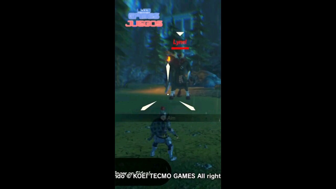 Hyrule Warriors Age Of Calamity Guerreros De Hyrule La Era De Calamidad 3.31.2025 Link Vs Lynel