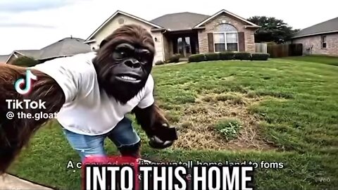 Telling me to touch grass