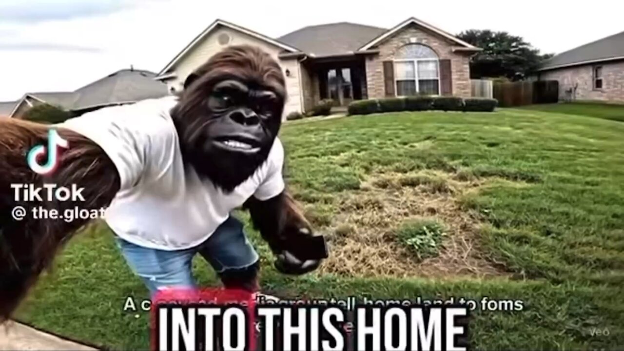 Telling me to touch grass