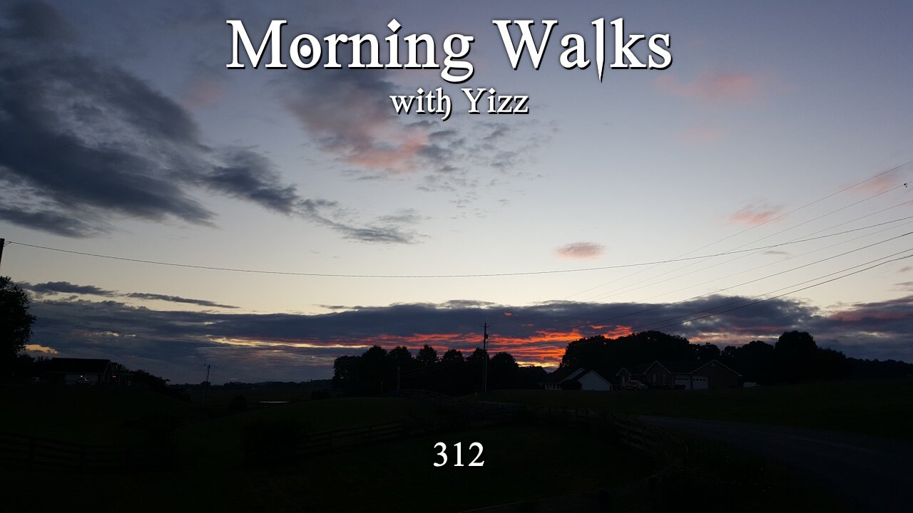 Morning Walks with Yizz 312
