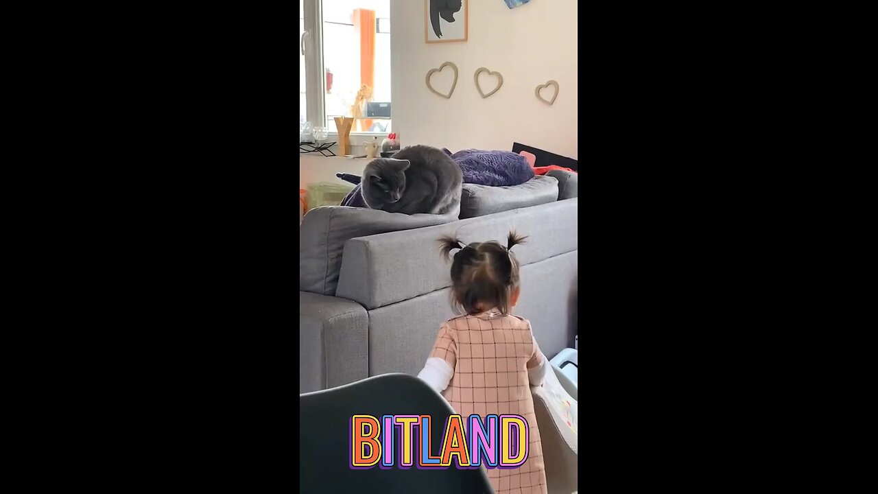 Little ones with cats๐๐