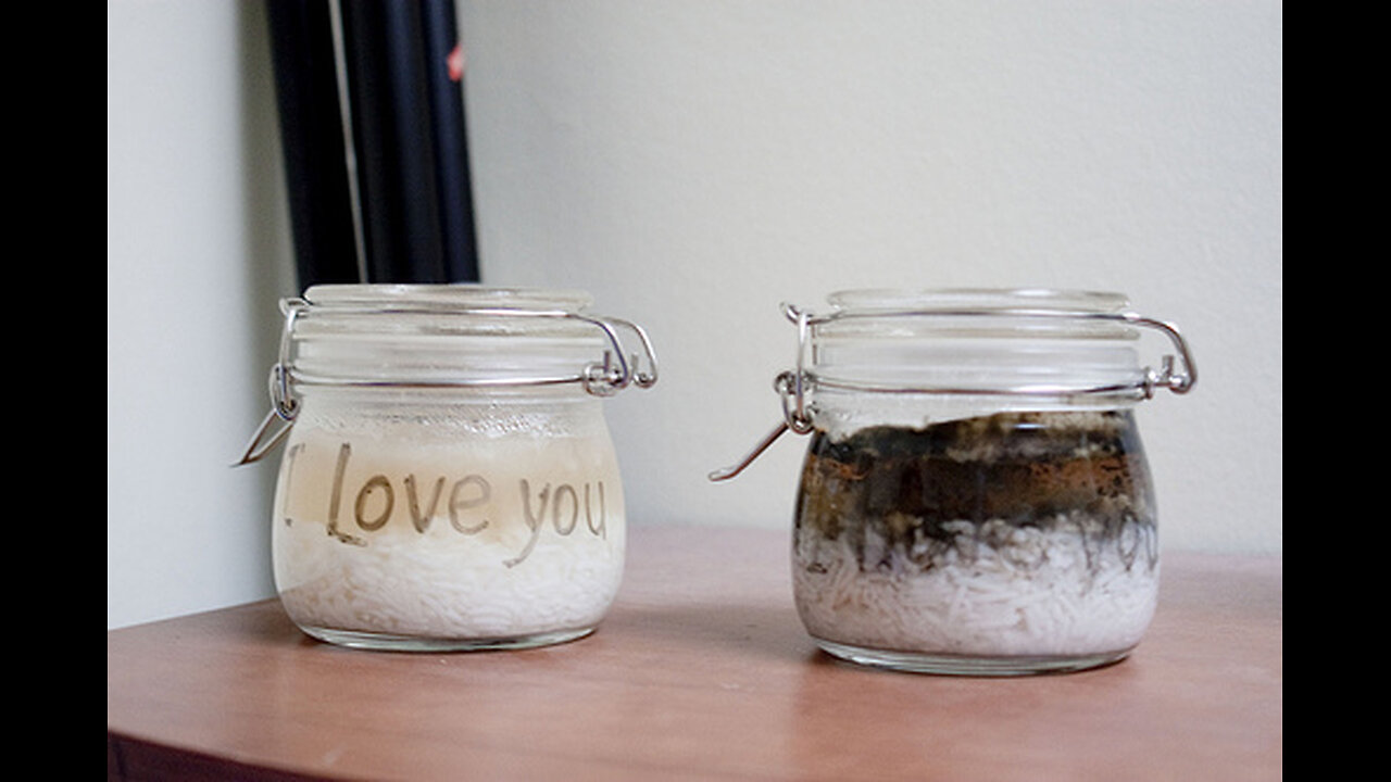 DOES THE RICE EXPERIMENT EXPLAIN THE RACES